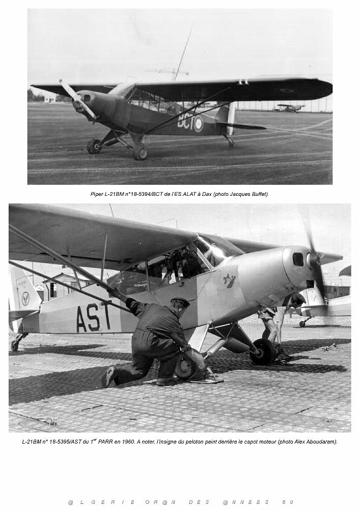 Piper L-21B_000050.jpg
